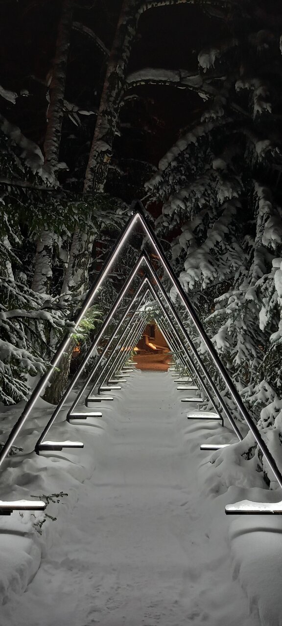 Гостиница Сосновый бор Новосибирск-44