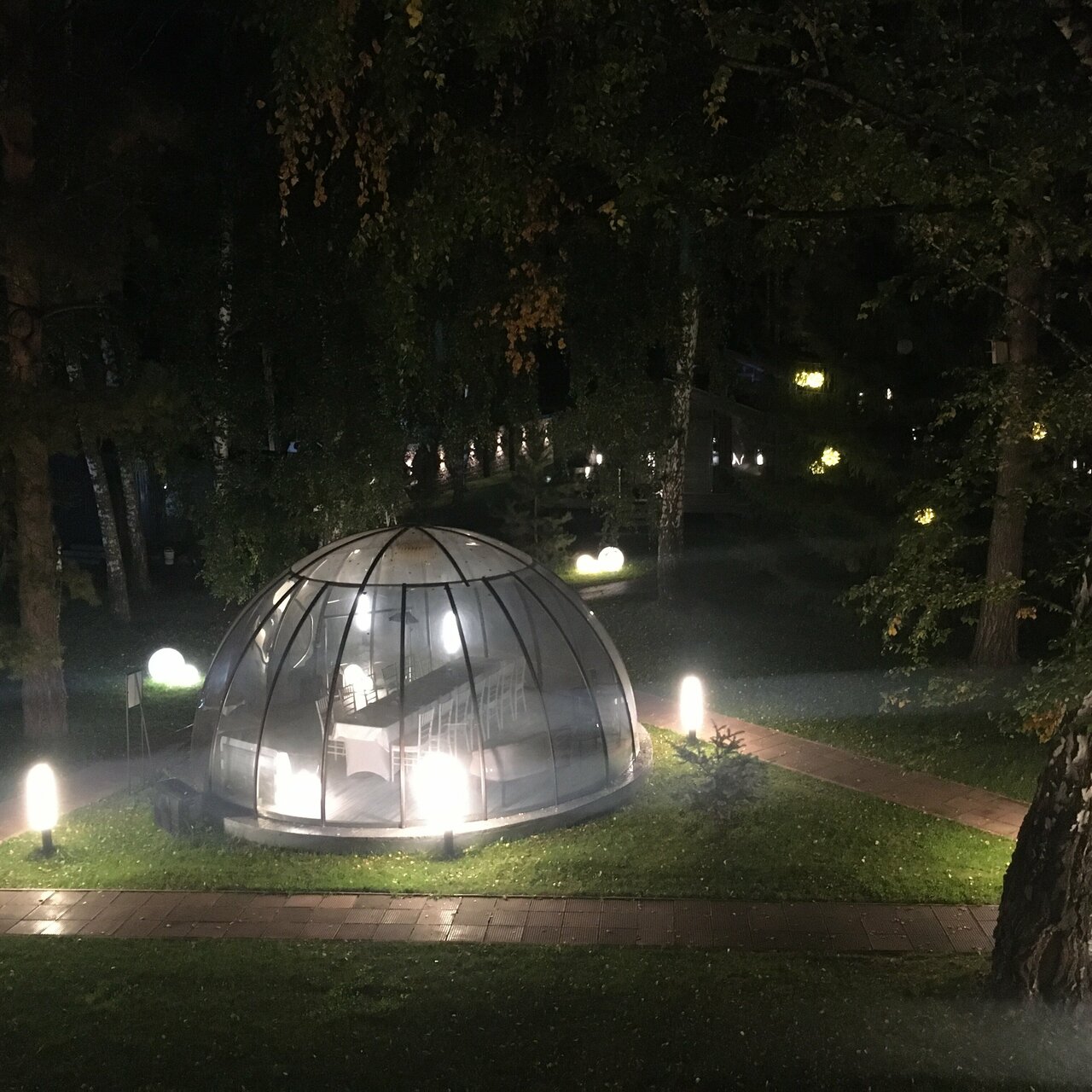 Гостиница Сосновый бор Новосибирск-54