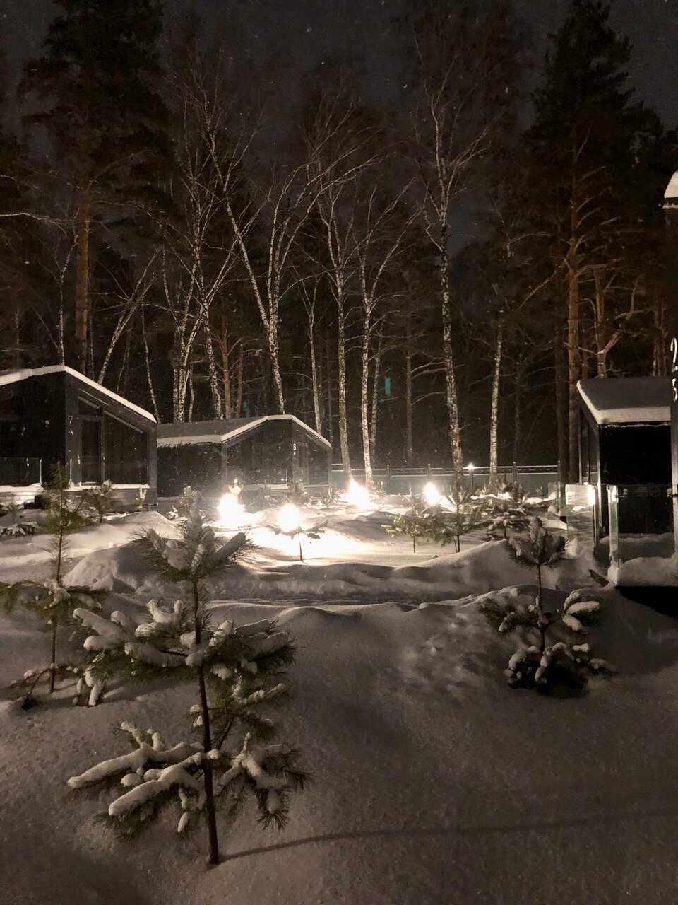 Гостиница Сосновый бор Новосибирск-16