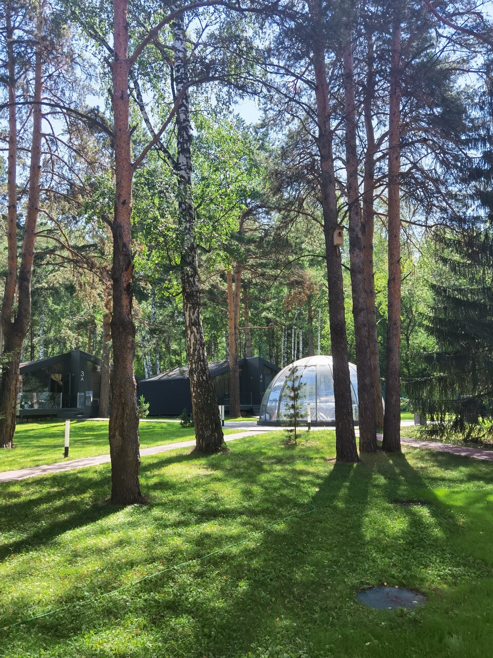 Гостиница Сосновый бор Новосибирск-22