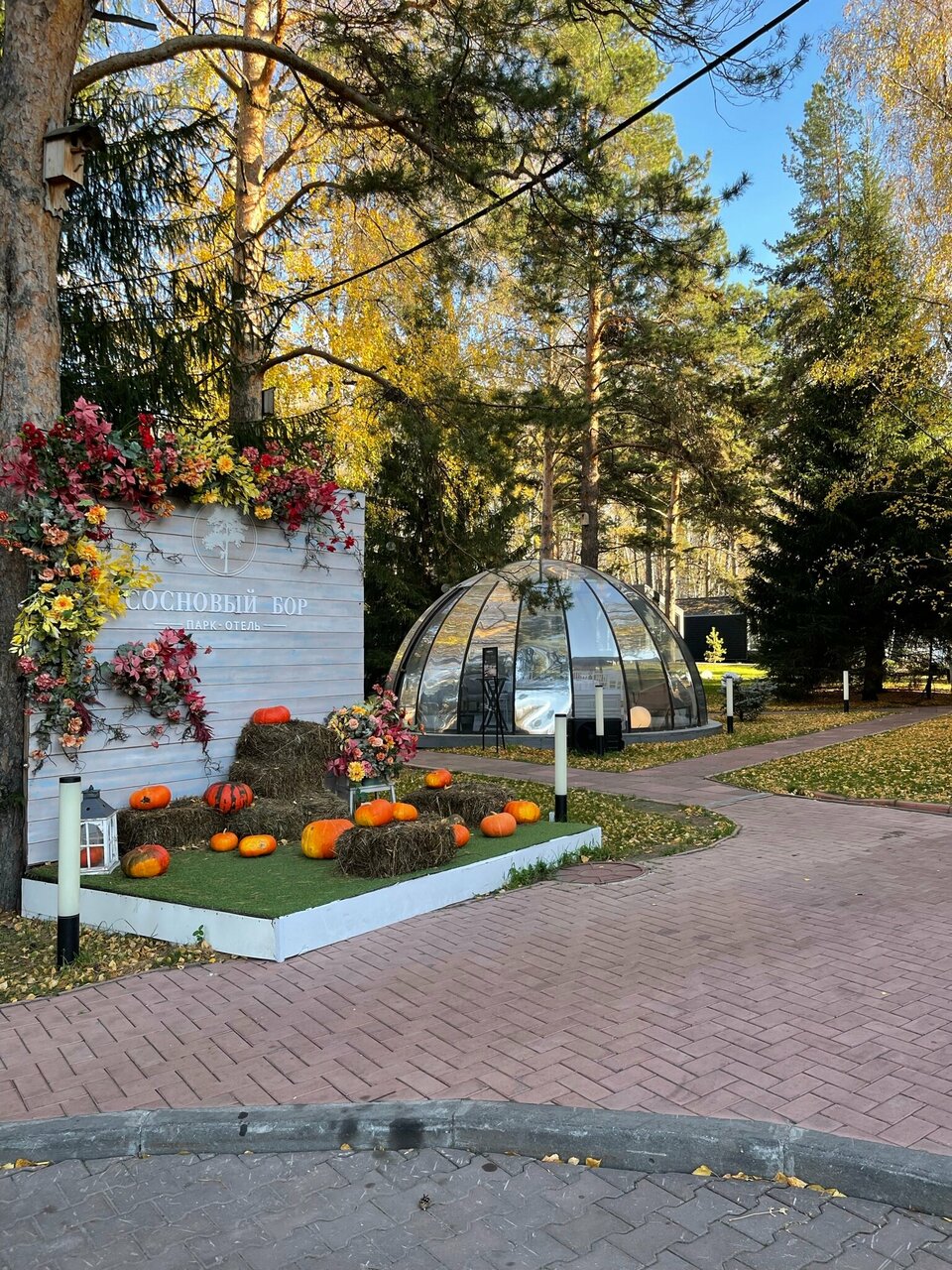 Гостиница Сосновый бор Новосибирск-49