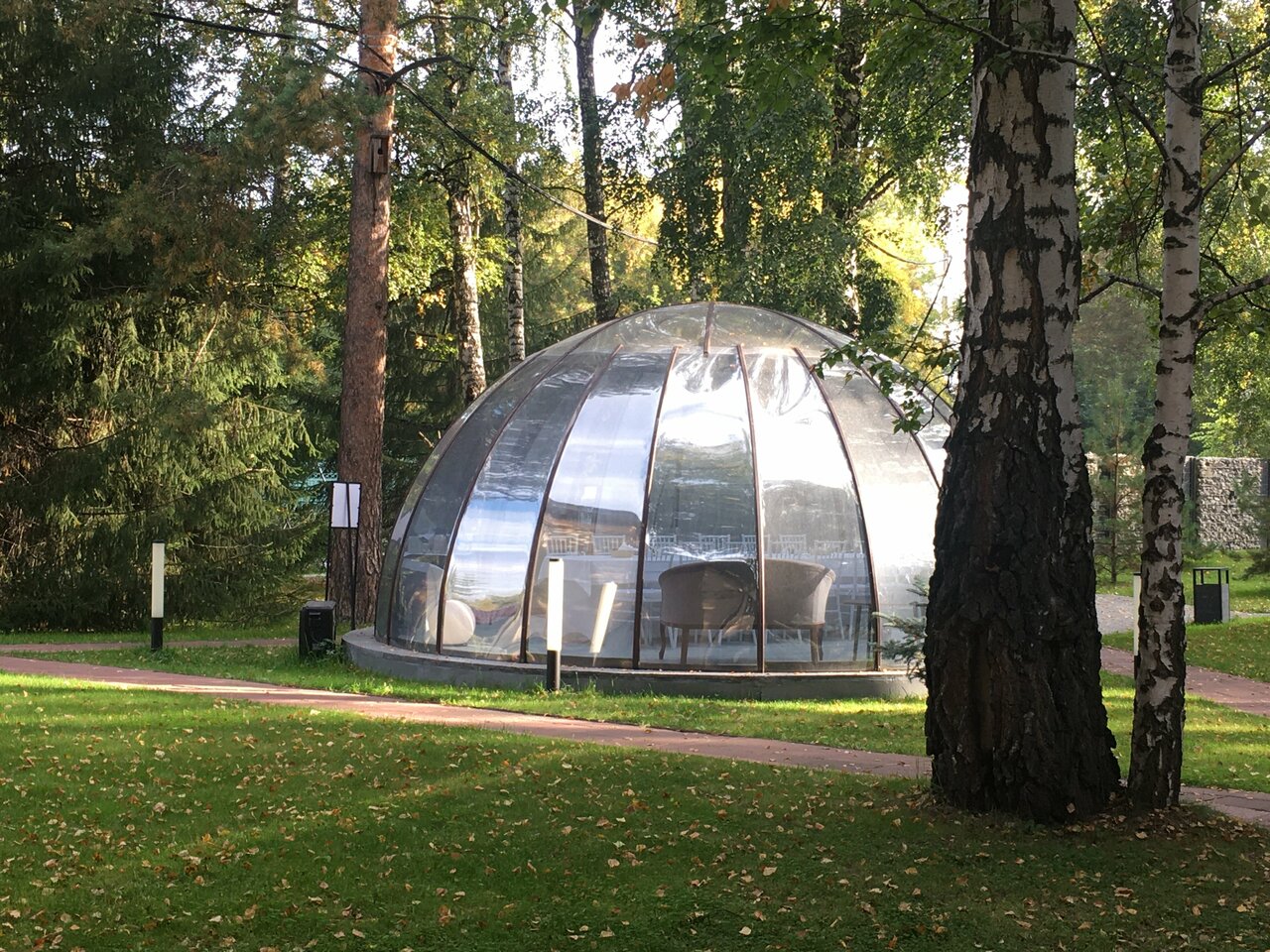 Гостиница Сосновый бор Новосибирск-59