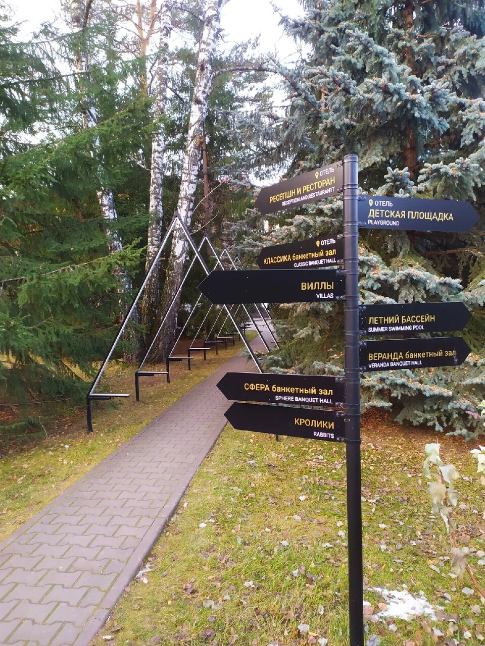 Гостиница Сосновый бор Новосибирск-41