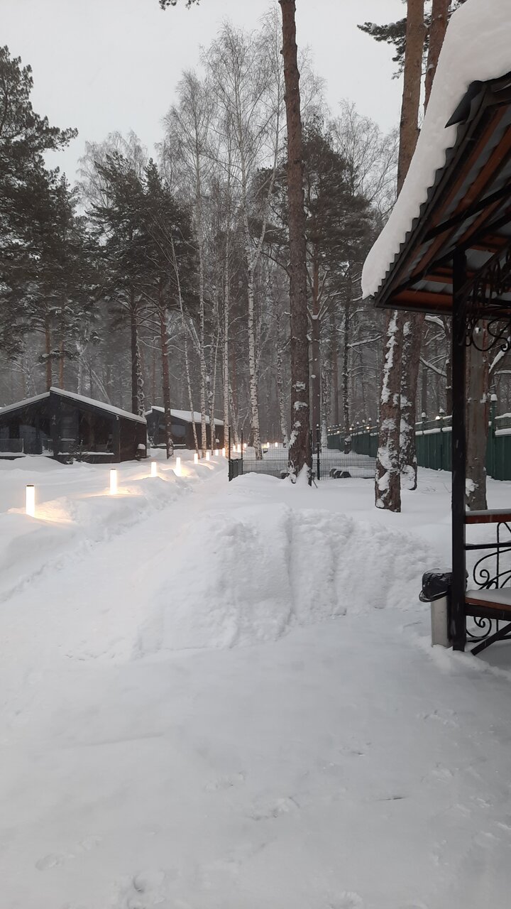 Гостиница Сосновый бор Новосибирск-48