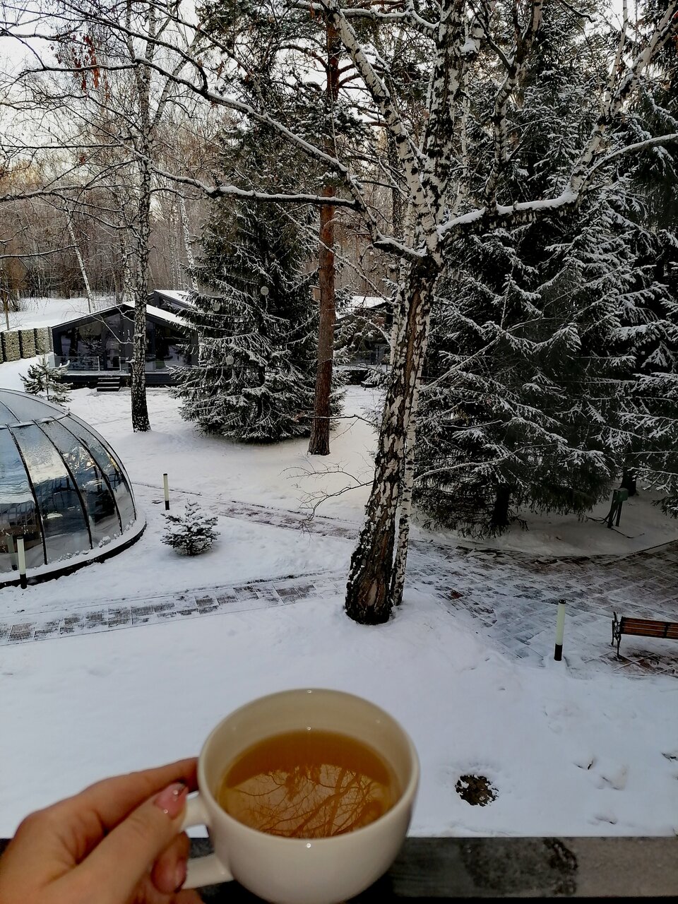 Гостиница Сосновый бор Новосибирск-45