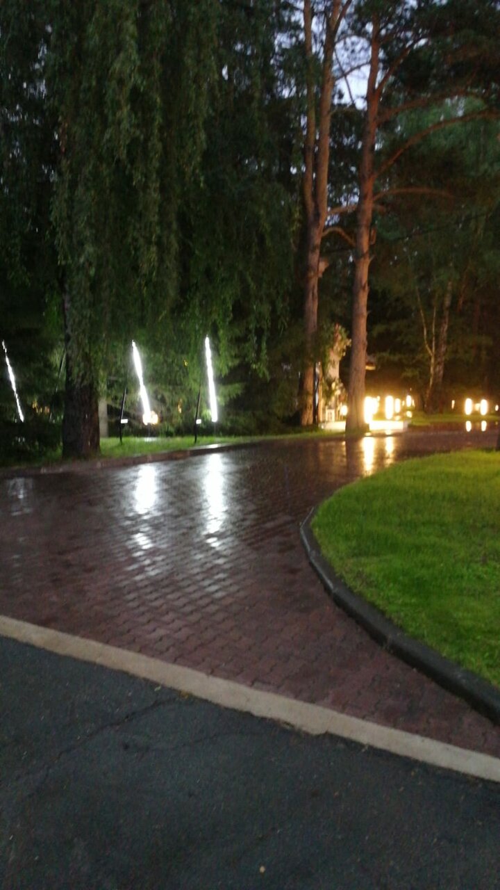 Гостиница Сосновый бор Новосибирск-35