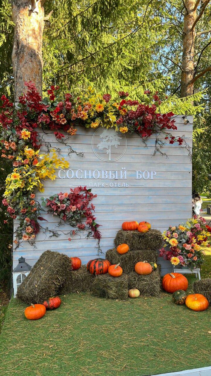 Гостиница Сосновый бор Новосибирск-80