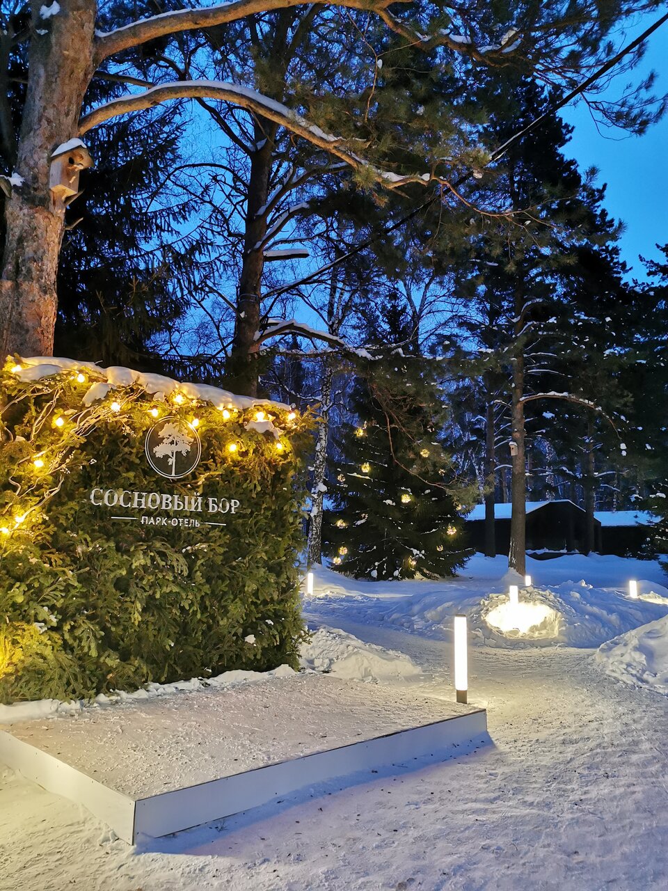 Гостиница Сосновый бор Новосибирск-19