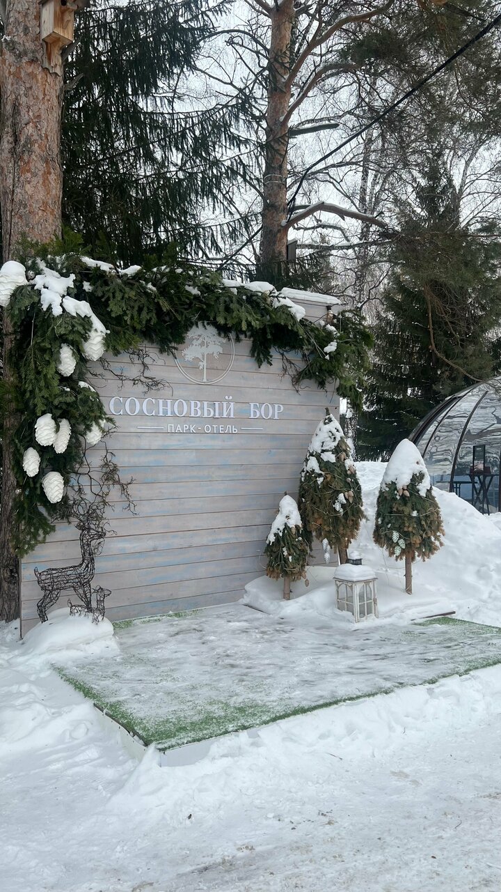 Гостиница Сосновый бор Новосибирск-113