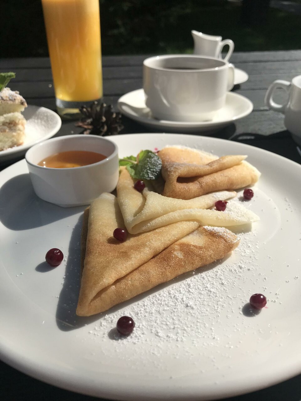 Гостиница Сосновый бор Новосибирск-245