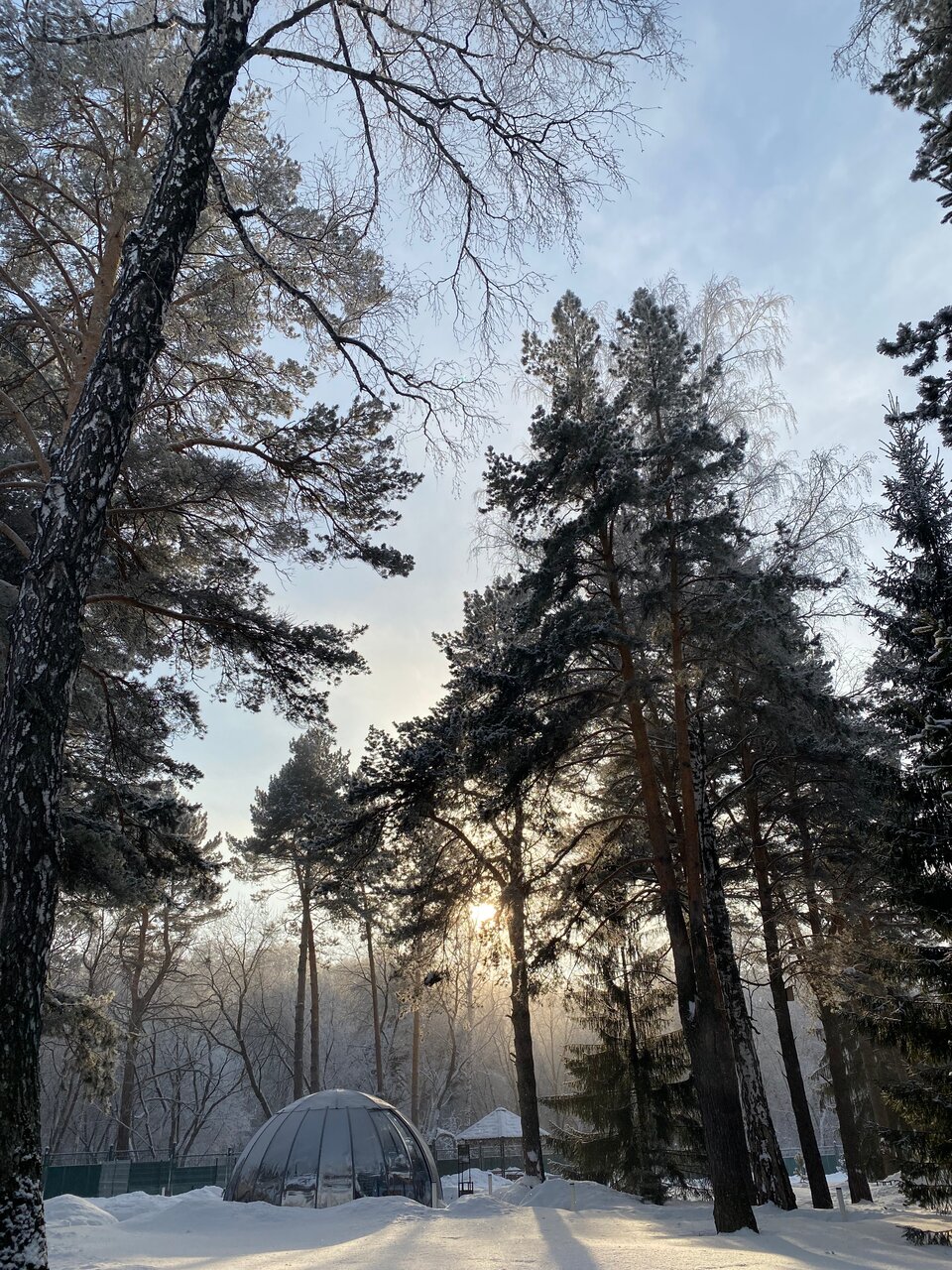 Гостиница Сосновый бор Новосибирск-20
