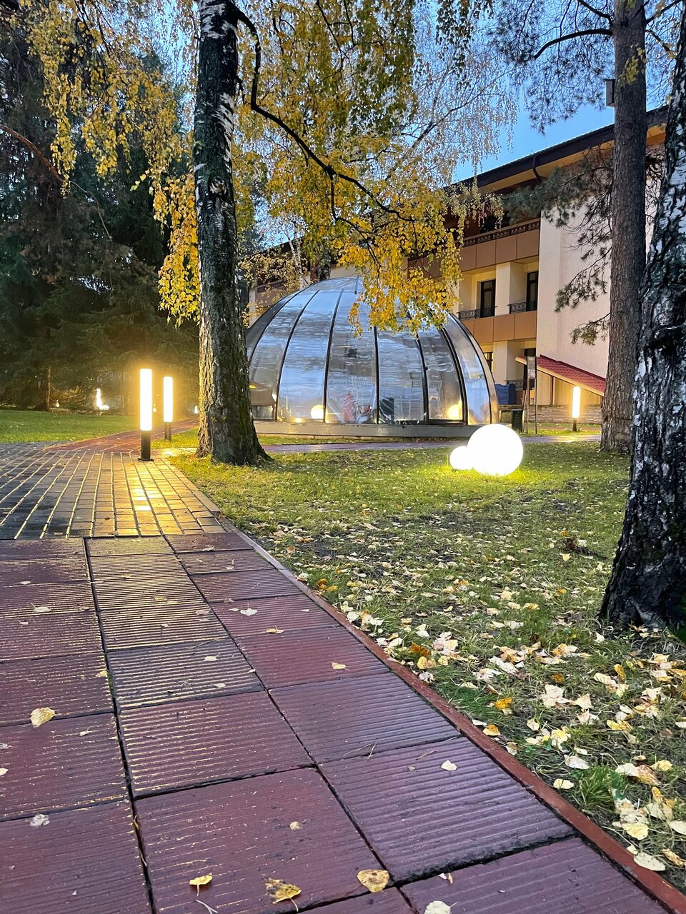 Гостиница Сосновый бор Новосибирск-52