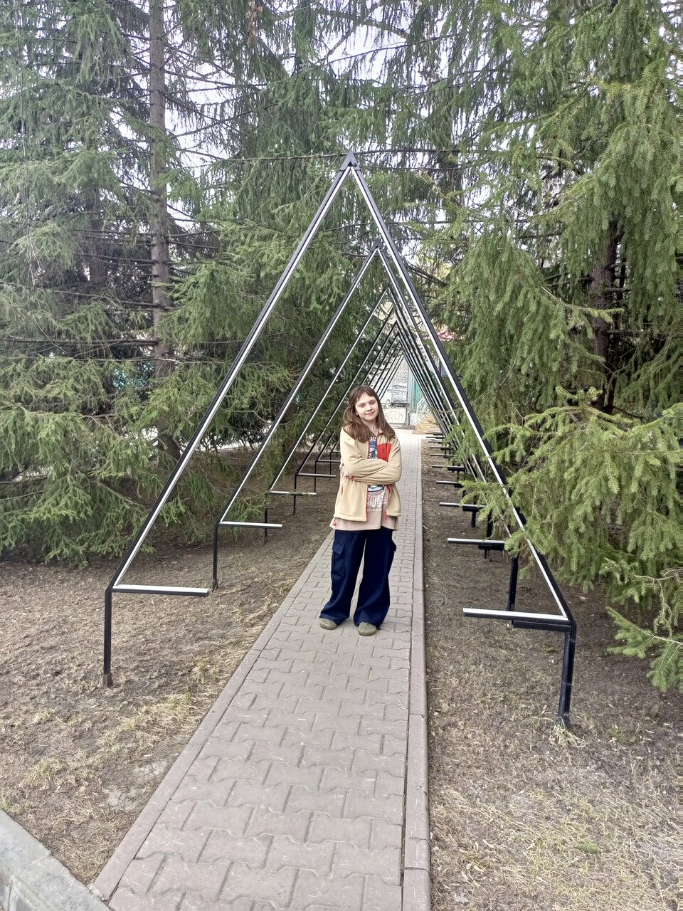 Гостиница Сосновый бор Новосибирск-129