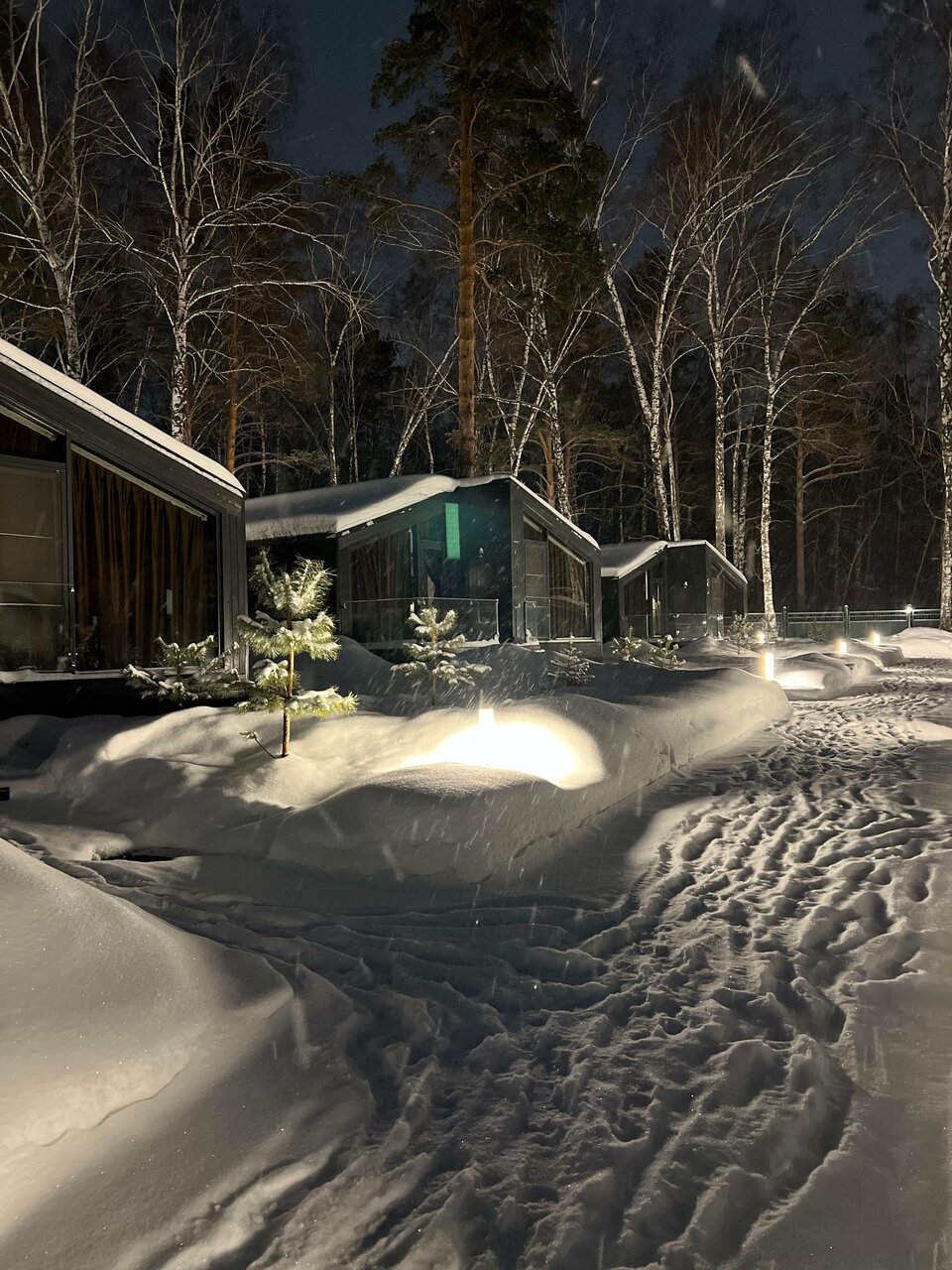 Гостиница Сосновый бор Новосибирск-109