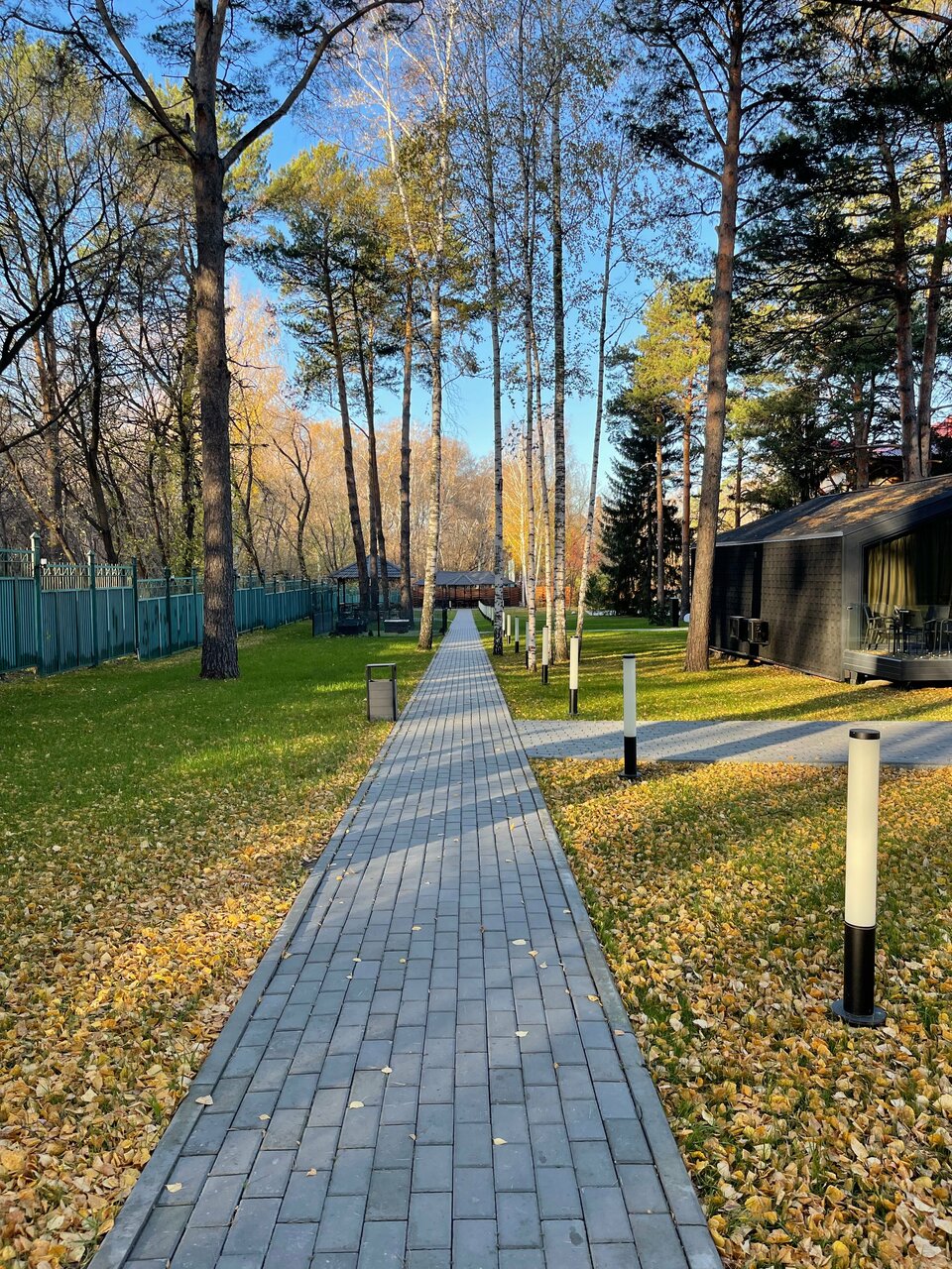 Гостиница Сосновый бор Новосибирск-58