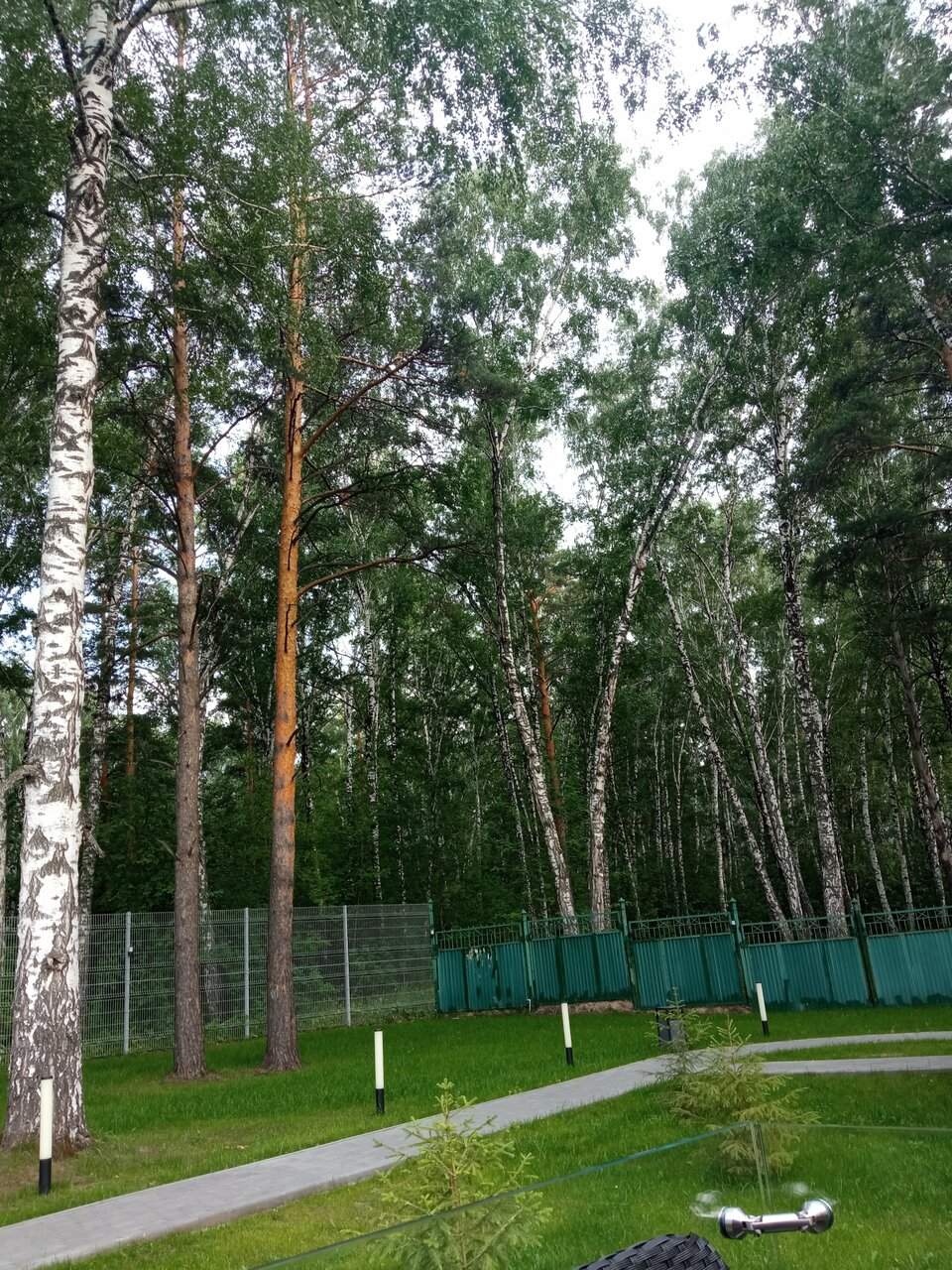 Гостиница Сосновый бор Новосибирск-83