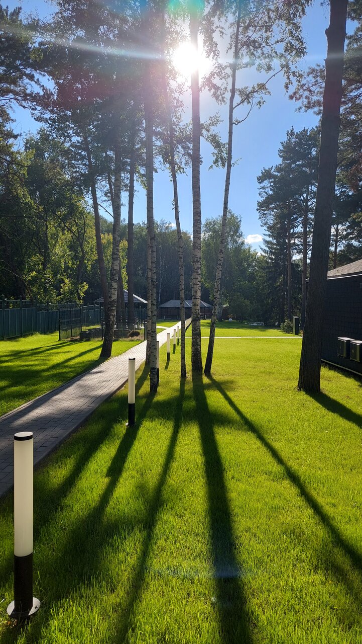 Гостиница Сосновый бор Новосибирск-31