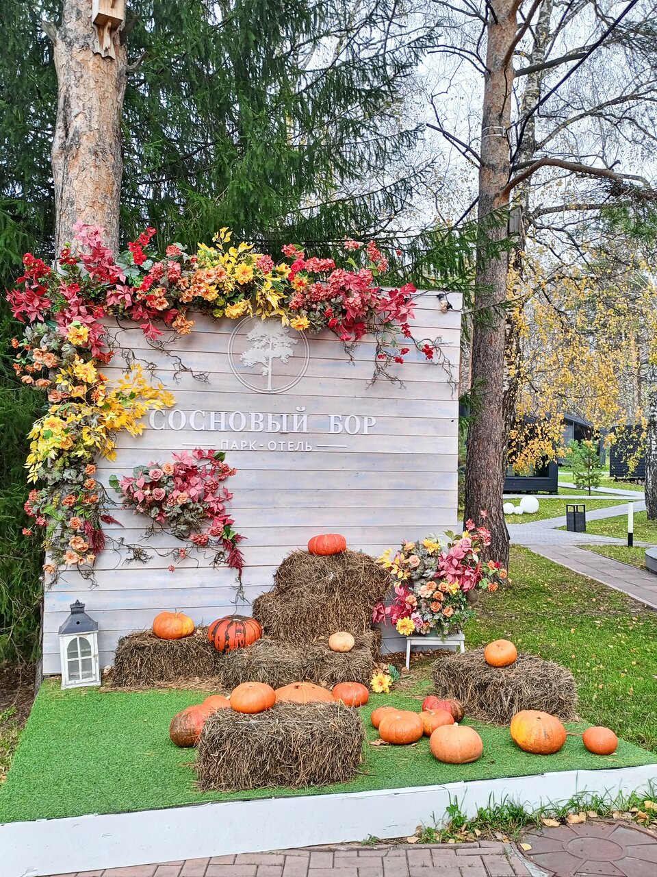 Гостиница Сосновый бор Новосибирск-61