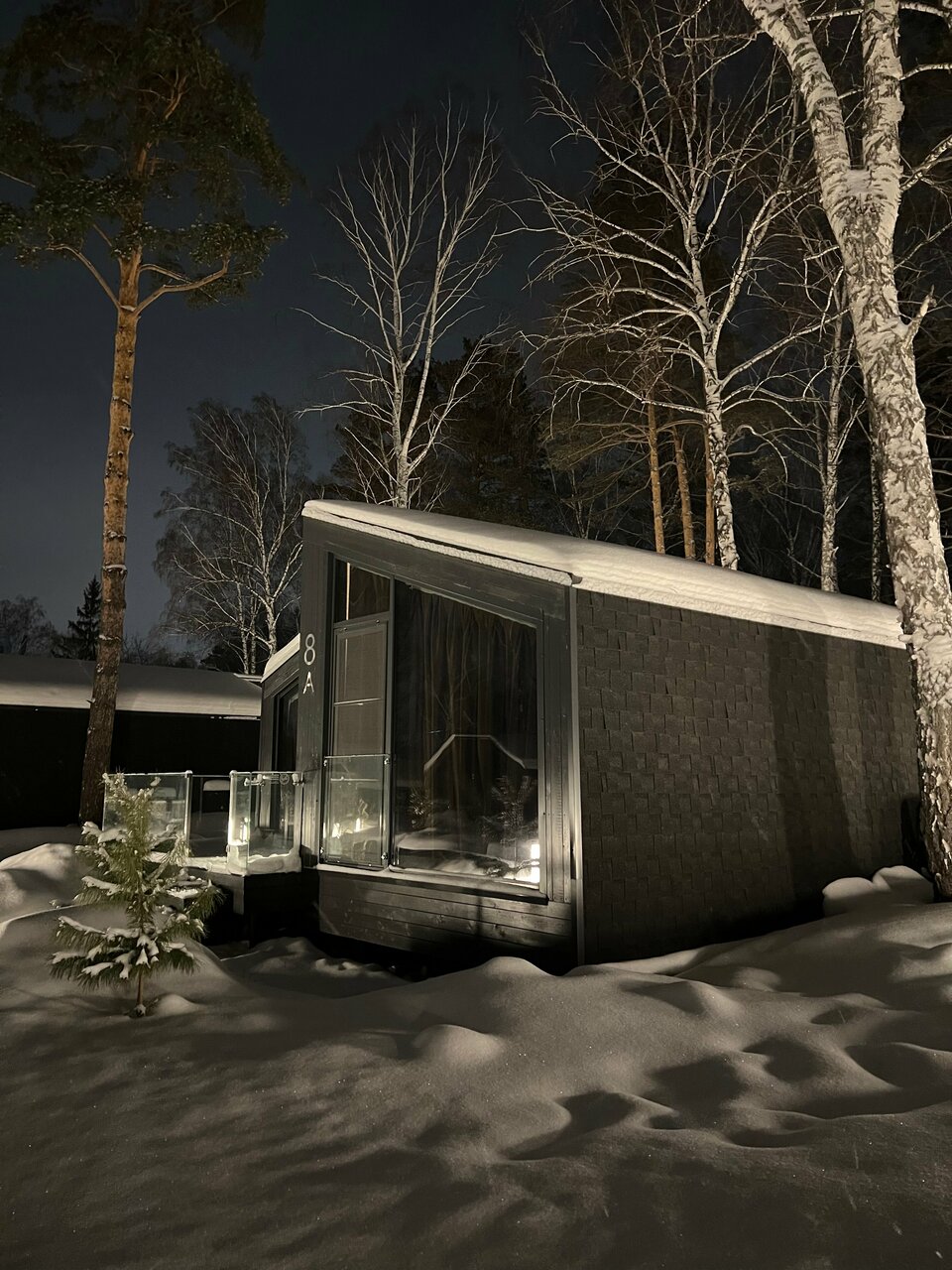 Гостиница Сосновый бор Новосибирск-110