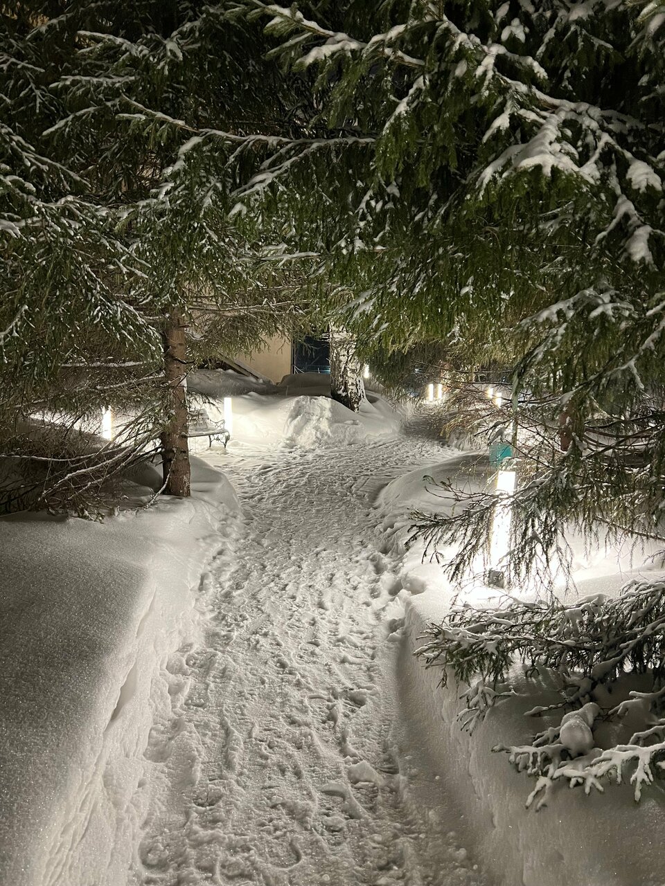 Гостиница Сосновый бор Новосибирск-111