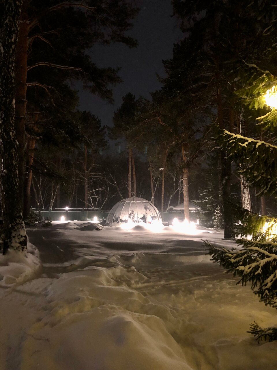 Гостиница Сосновый бор Новосибирск-17