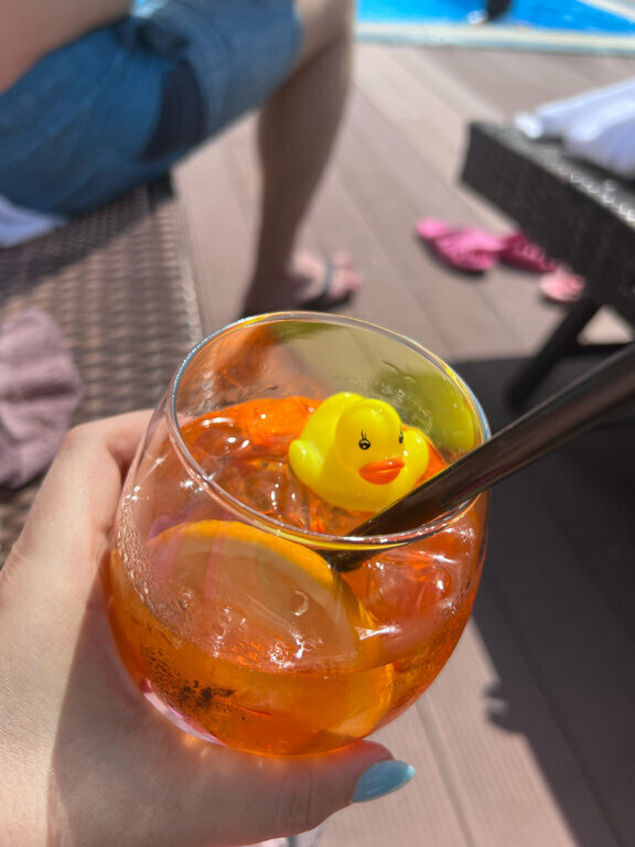 Гостиница Сосновый бор Новосибирск-106