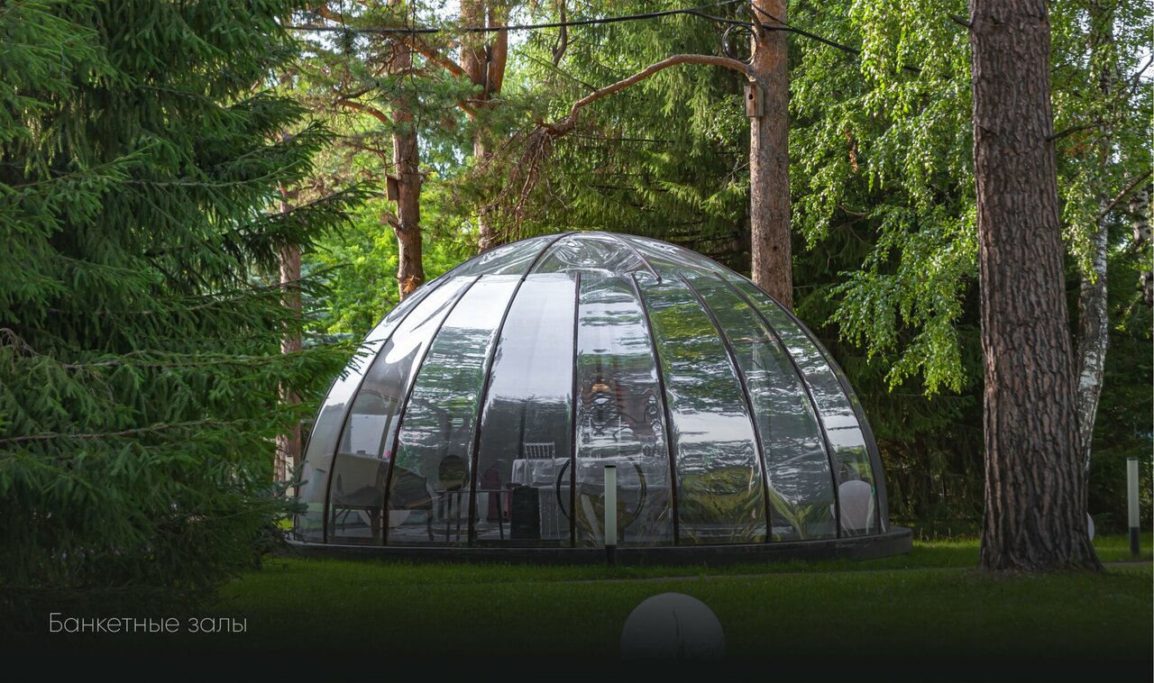 Гостиница Сосновый бор Новосибирск-196