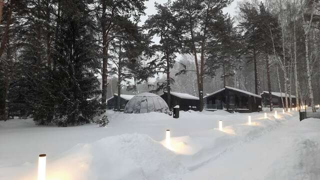 Гостиница Сосновый бор Новосибирск-46