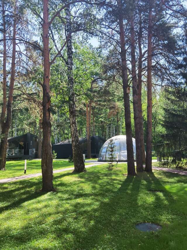 Гостиница Сосновый бор Новосибирск-21