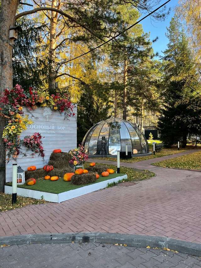 Гостиница Сосновый бор Новосибирск-48