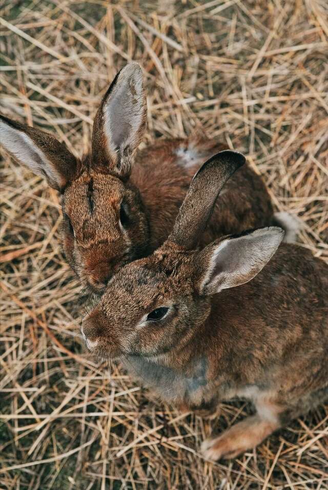Гостиница Сосновый бор Новосибирск-143
