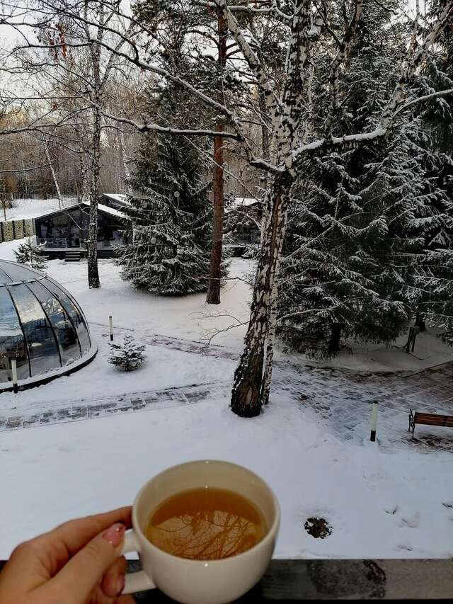 Гостиница Сосновый бор Новосибирск-44