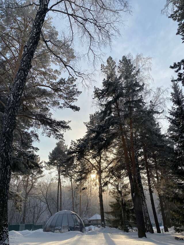 Гостиница Сосновый бор Новосибирск-19