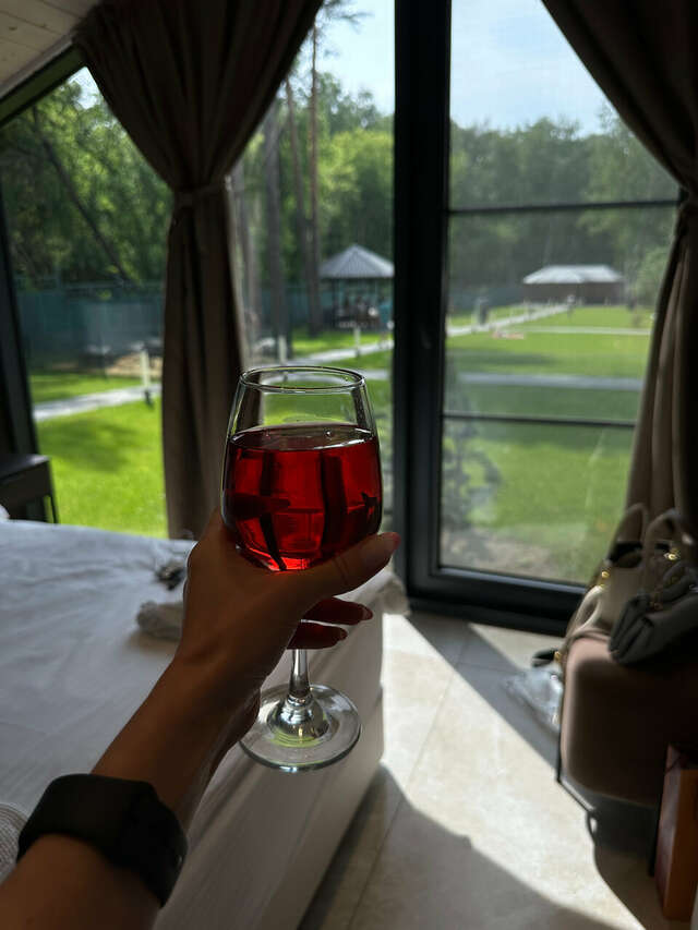 Гостиница Сосновый бор Новосибирск-91