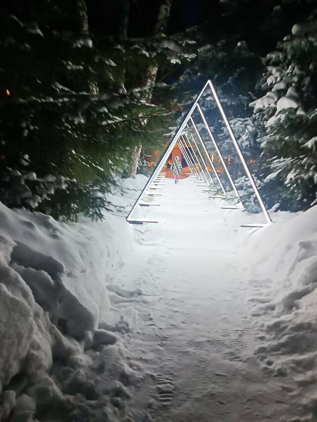 Гостиница Сосновый бор Новосибирск-114