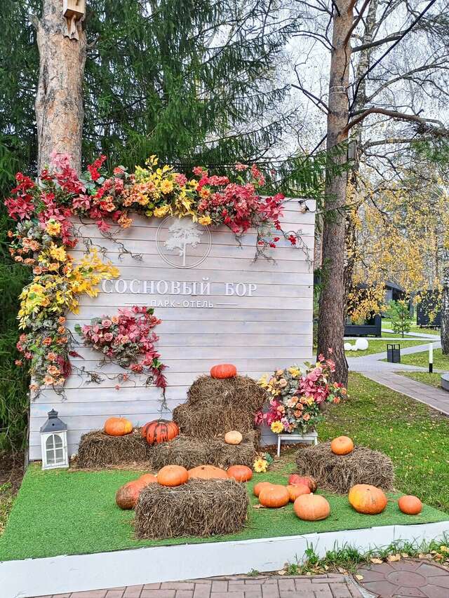 Гостиница Сосновый бор Новосибирск-60