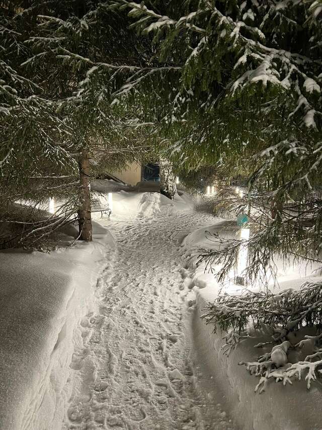 Гостиница Сосновый бор Новосибирск-110