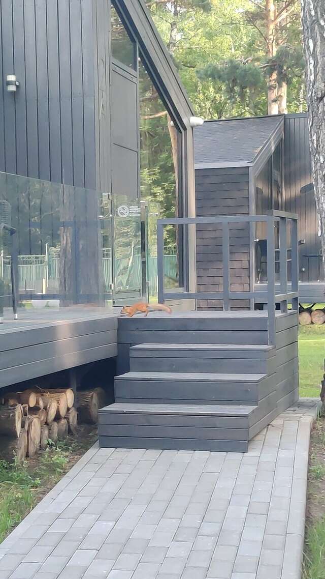 Гостиница Сосновый бор Новосибирск-88