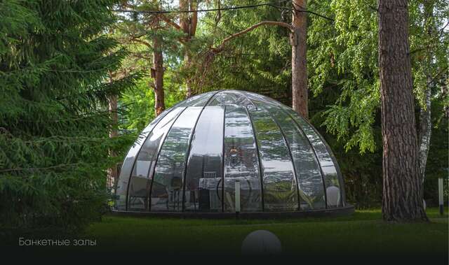 Гостиница Сосновый бор Новосибирск-195